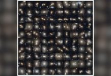 प्रवेश नाकारला