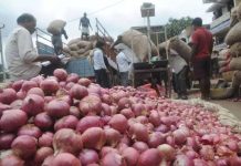 घोषणा म्हणजे डोळे वटारणे : शेट्टी | पुणे बातम्या