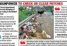 फॉरेस्ट पॅच डंपिंग ग्राउंड बनवतात, पर्यावरण आणि आगीची चिंता वाढवतात. पुणे बातम्या