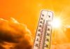 तापमान ४२.४ अंश सेल्सिअसपर्यंत वाढल्याने पुण्यात या उन्हाळ्यातील सर्वात उष्ण दिवस आहे; लोहेगाव 15 दिवसांसाठी 40°C-अधिक | पुणे बातम्या
