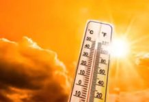 तापमान ४२.४ अंश सेल्सिअसपर्यंत वाढल्याने पुण्यात या उन्हाळ्यातील सर्वात उष्ण दिवस आहे; लोहेगाव 15 दिवसांसाठी 40°C-अधिक | पुणे बातम्या