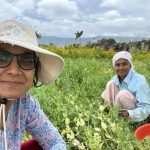 विंडोजिल ते शेत: शहरातील रहिवाशांचा वाढता प्रवास हा ग्रीन सिग्नल आहे. पुणे बातम्या