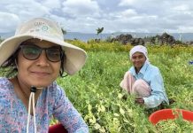 विंडोजिल ते शेत: शहरातील रहिवाशांचा वाढता प्रवास हा ग्रीन सिग्नल आहे. पुणे बातम्या