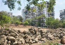 शहरी जैवविविधतेला चालना देण्यासाठी NIBM रोड परिसरात मियावाकी जंगलाची योजना केली आहे. पुणे बातम्या