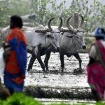 शेतकऱ्यांच्या संघटनांनी तातडीने कर्जमाफीची मागणी केली आहे, राज्याला 30 जूनच्या मुदतीची वाट पाहू नका. पुणे बातम्या