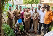 लोहगाव पोलिसांची मोठी कारवाई: बंगल्याच्या गार्डनमध्ये गांजाची लागवड करणाऱ्या इसमाला अटक