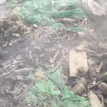 कल्याणी नगर–कोरेगाव पार्कजवळ जळत्या कचऱ्यात संशयास्पद हाडे आढळली