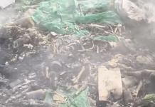 कल्याणी नगर–कोरेगाव पार्कजवळ जळत्या कचऱ्यात संशयास्पद हाडे आढळली