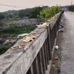 शांतिनगर–येरवडा परिसरात मुळा नदीत धार्मिक कचरा टाकण्यामुळे वाढते प्रदूषण; तातडीच्या उपाययोजनांची मागणी