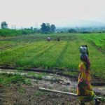 पुरंदर विमानतळ रस्ता जोडणीसाठी निधी गेल्या वर्षीच्या अर्थसंकल्पात मंजूर : PMRDA | पुणे बातम्या
