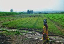पुरंदर विमानतळ रस्ता जोडणीसाठी निधी गेल्या वर्षीच्या अर्थसंकल्पात मंजूर : PMRDA | पुणे बातम्या