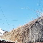 पुणे बनावट दारूच्या दुर्घटनेत सर्वाधिक बळी रोजंदारी कामगार होते; डॉक्टर मिथेनॉल विषबाधाच्या गंभीर लक्षणांकडे निर्देश करतात. पुणे बातम्या