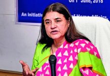 पुण्याला जाणारा पाळीव प्राणी लॅब्राडॉरचा रेल्वे प्रवासादरम्यान मृत्यू, मालकाचा रेल्वेच्या चुकांचा आणि शरीराची असंवेदनशील हाताळणीचा आरोप; अधिकाऱ्यांनी आरोपांचे खंडन केले | पुणे बातम्या