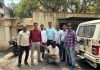 पुणे पोलिसांची मोठी कारवाई: मोक्काच्या गुन्ह्यातील ८ महिन्यांपासून फरार आरोपी सोलापूरमधून जेरबंद