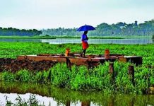 मान्सूनने महाराष्ट्राचे दार ठोठावले आहे, परंतु कोरड्या हवेच्या ड्रॅगने देशांतर्गत कूच करण्याचा धोका आहे. पुणे बातम्या