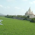 आषाढी वारीपूर्वी देहूजवळील इंद्रायणी नदीत मृत मासे आढळल्याने प्रदूषणाची चिंता वाढली आहे. पुणे बातम्या