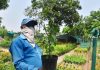 या उन्हाळ्यात पाण्याचा पुरवठा कमी होत असताना गार्डन नर्सरींना उन्हाचा सामना करावा लागत आहे. पुणे बातम्या