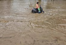 मुंबई आणि पुण्यात पाणी साचल्याने सुप्रिया यांनी भाजपवर निशाणा साधला. पुणे बातम्या