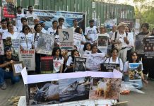 १६ व्या राष्ट्रीय प्राणी हक्क दिनानिमित्त पुणेकर एकत्र: एफसी रोडवर कार्यकर्त्यांनी वाहिली श्रद्धांजली आणि उभारली मानवी साखळी