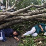 जनता वसाहत येथे वटवृक्ष अंगावर पडल्याने दोन महिला जखमी. पुणे बातम्या