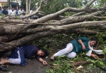 जनता वसाहत येथे वटवृक्ष अंगावर पडल्याने दोन महिला जखमी. पुणे बातम्या